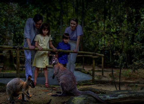 ナイトサファリ